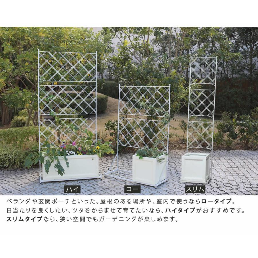 プランター台付フェンス（スリムタイプ）「アーガイル」 送料無料 フェンス アイアン グリーンカーテン ゴーヤ 薔薇 バラ 朝顔 庭 ベランダ ガーデニング |  | 07