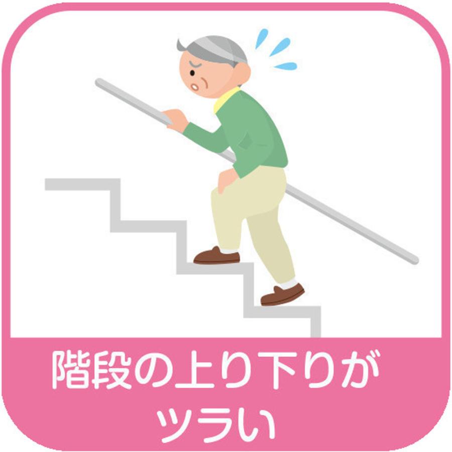 送料無料 テクノ高槻 もみまろ MOMIMARO 家庭用エアマッサージ器 日本