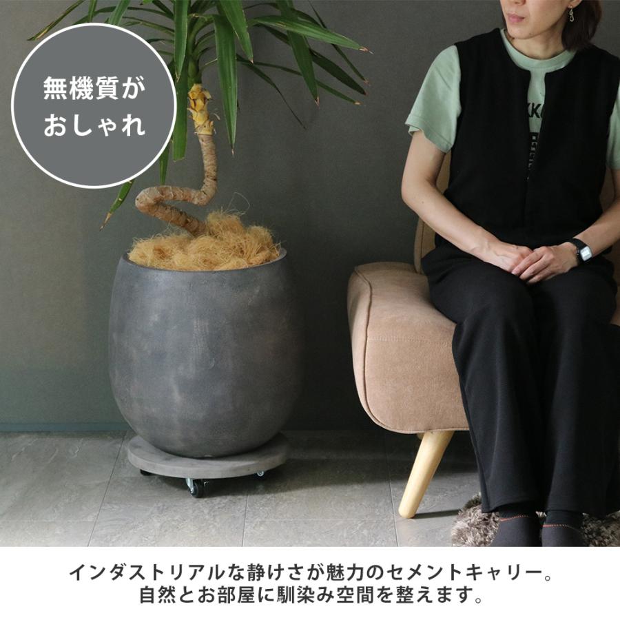 セメント製キャスター付きプランターキャリー36cm 2台組 TR360-2P<br> 直径36 スタンド フラワースタンド ベース キャスター 台車 鉢置き 花台 プランター |  | 02