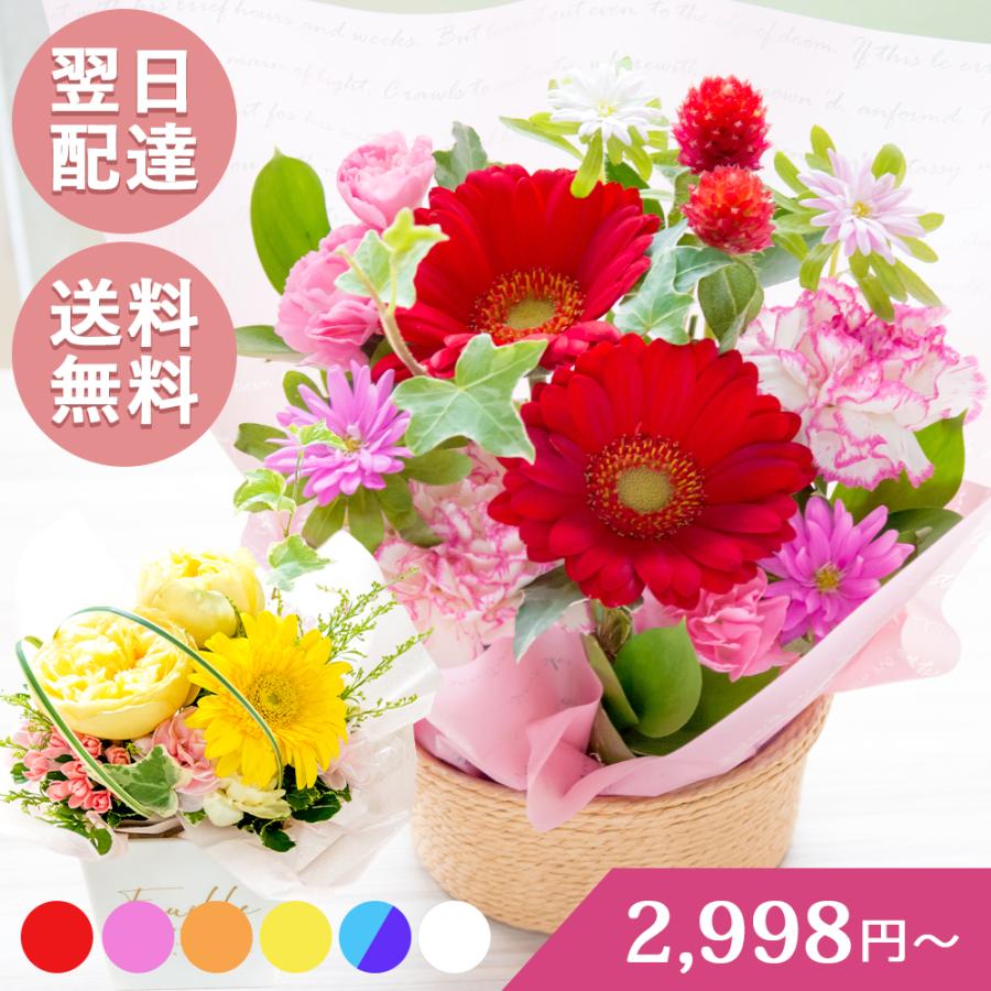 花 誕生日 お祝い ギフト 店長おまかせフラワーギフトSサイズ アレンジメント  バレンタインデー ホワイトデー おすすめ 記念日 結婚祝い 出産祝い（Yahoo!・行きつけのお花屋さん）