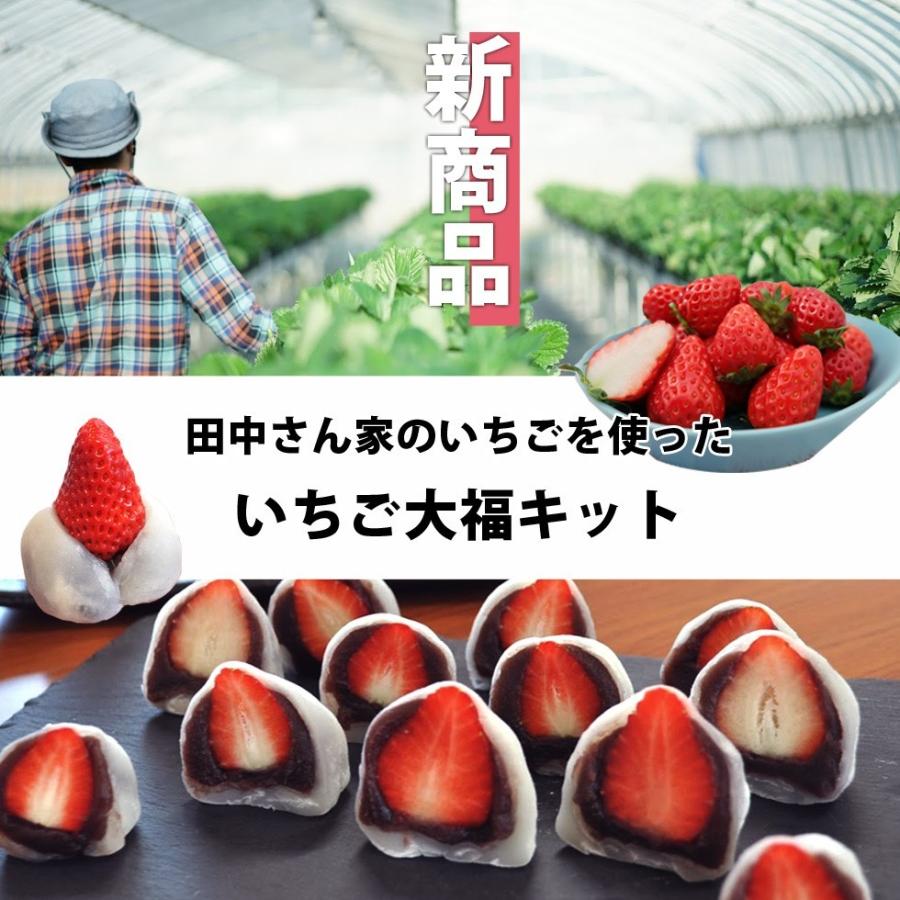 いちご大福  手作り 体験 セット 母の日 食育 親子 11〜15粒 滋賀県産 章姫 産地直送 プレゼント 贈り物 大きい ホワイトデー いちごフェア ひな祭り 雛祭り｜ikkadanran｜02