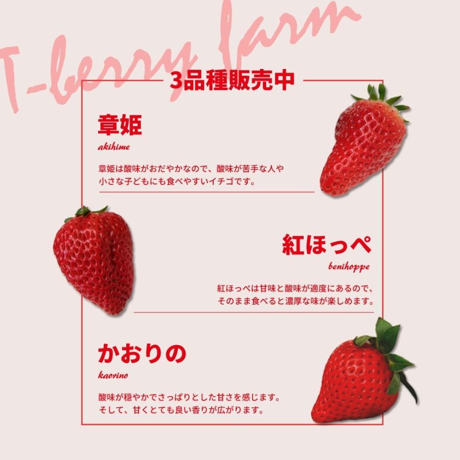 いちご かおりの 12 18粒 予約販売 順次発送予定 滋賀県産 苺 イチゴ 章姫 産地直送 Kaorino だんらん 日曜の晩ごはん 通販 Yahoo ショッピング