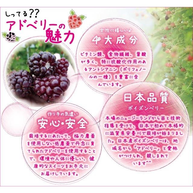 あど菓むぅす３個 ラズベリー ブルーベリーより希少な幻ベリー 滋賀県産アドベリーを使用 化粧箱入り お花見のお供にも Okashi104 だんらん 日曜の晩ごはん 通販 Yahoo ショッピング