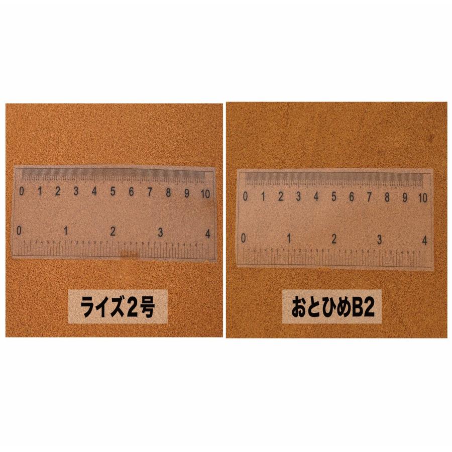 日清丸紅飼料 おとひめB2 10kg (2kg×5袋) (0.2〜0.36mm) /沈降性