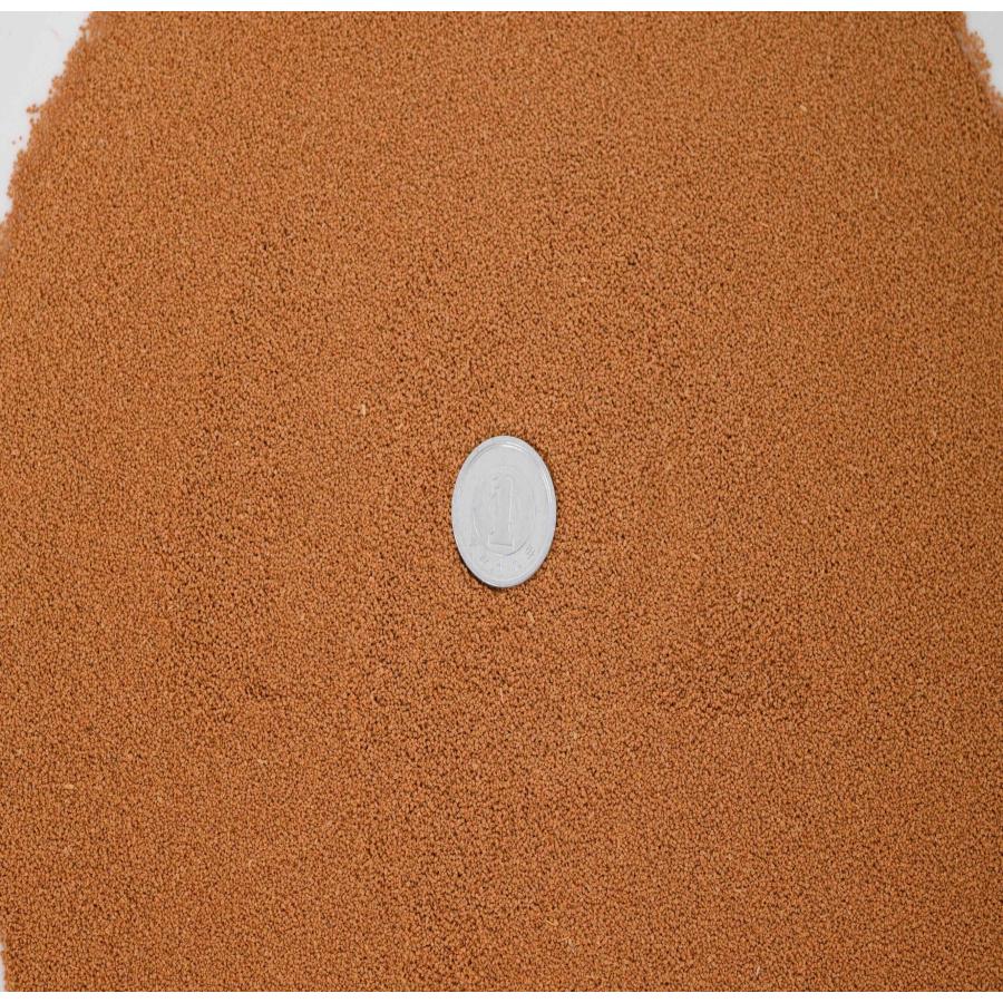 日清丸紅飼料 おとひめB2 10kg (2kg×5袋) (0.2〜0.36mm) /沈降性 日清丸紅飼料 おとひめB2 10kg (2kg×5袋) (0.2〜0.36mm) /沈降性