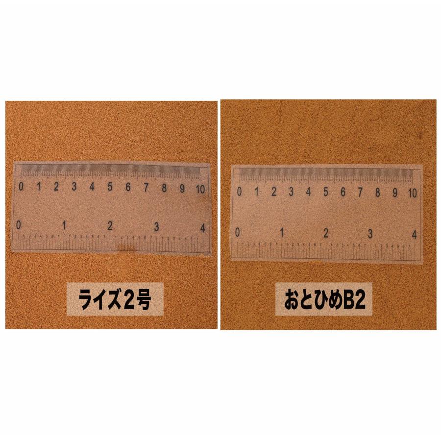 日清丸紅飼料 日清丸紅飼料おとひめA(0.25mm以下)5kg/沈降性_15