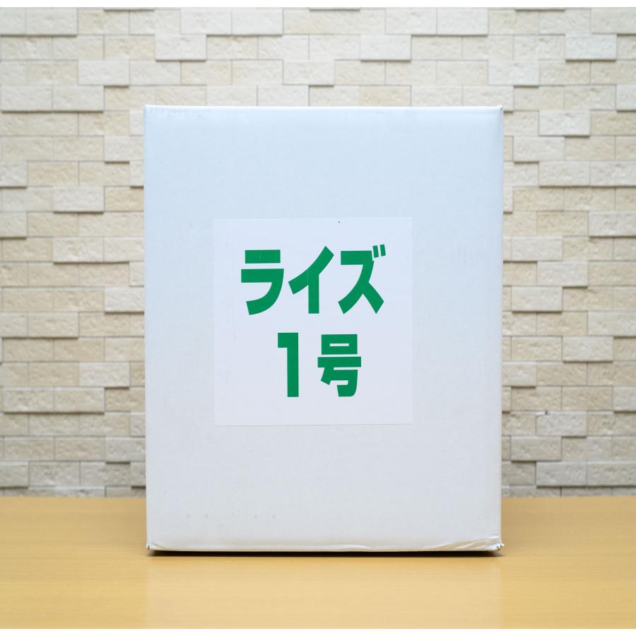 日清丸紅飼料 ライズ1号 10kg (2kg×5袋) (粒径0.25mm) メダカ 日清丸紅飼料 ライズ1号 10kg (2kg×5袋) (粒径0.25mm) メダカ