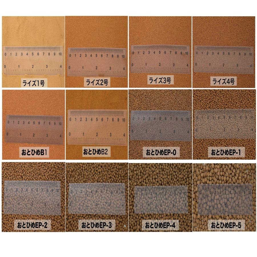 日清丸紅飼料 ライズ2号 200g(200g×1袋） (粒径0.36mm) 沈降性 小分け