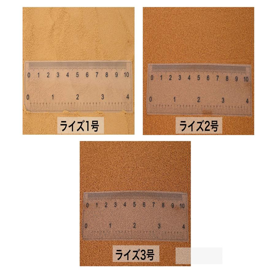 日清丸紅飼料 ライズ2号 200g(200g×1袋） (粒径0.36mm) 沈降性 小分け
