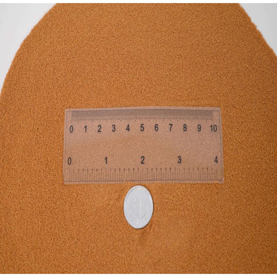 日清丸紅飼料 ライズ2号 200g(200g×1袋） (粒径0.36mm) 沈降性 小分け