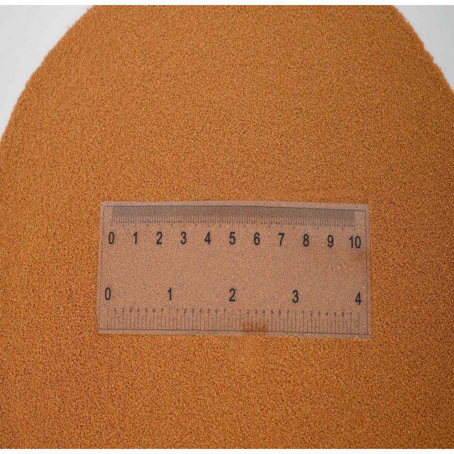 日清丸紅飼料 ライズ2号 200g(200g×1袋） (粒径0.36mm) 沈降性 小分け