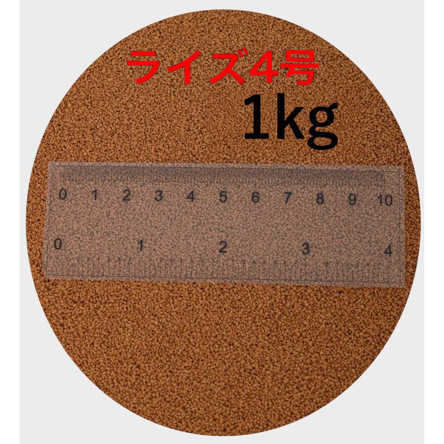 日清丸紅飼料 ライズ4号 1kg (500g×2袋) (粒径0.58〜0.84mm 日清丸紅飼料 ライズ4号 1kg (500g×2袋) (粒径0.58〜0.84mm