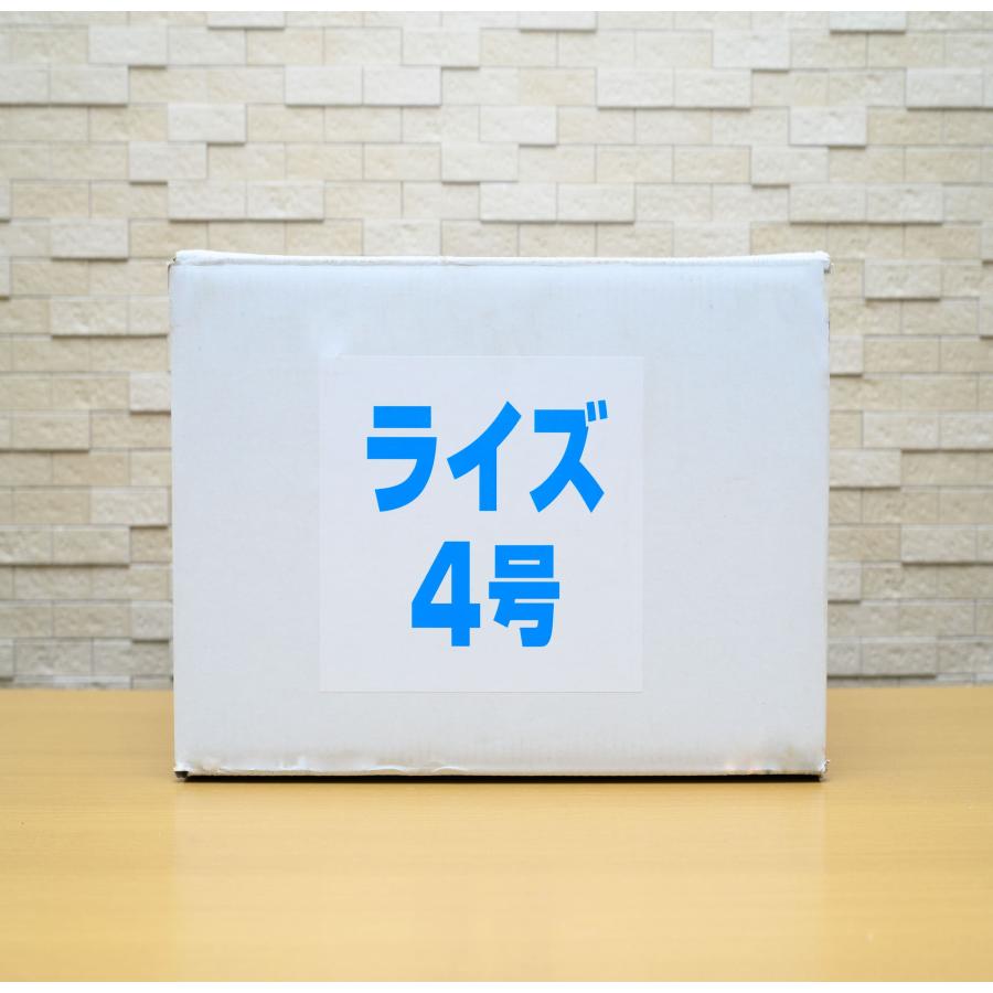 日清丸紅飼料 ライズ4号 1kg (500g×2袋) (粒径0.58〜0.84mm 日清丸紅飼料 ライズ4号 1kg (500g×2袋) (粒径0.58〜0.84mm