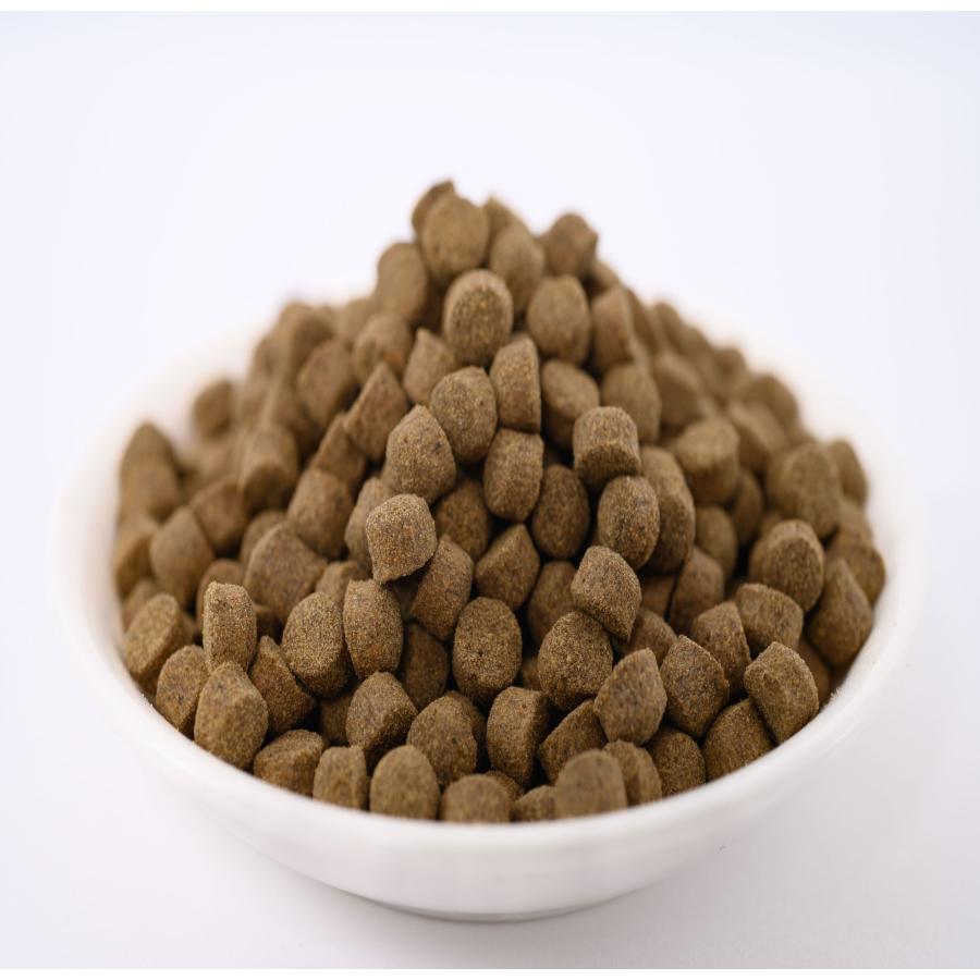 日清丸紅飼料 おとひめEP6(約5.4mm〜約6.4mm) 500g 沈降性(沈下性