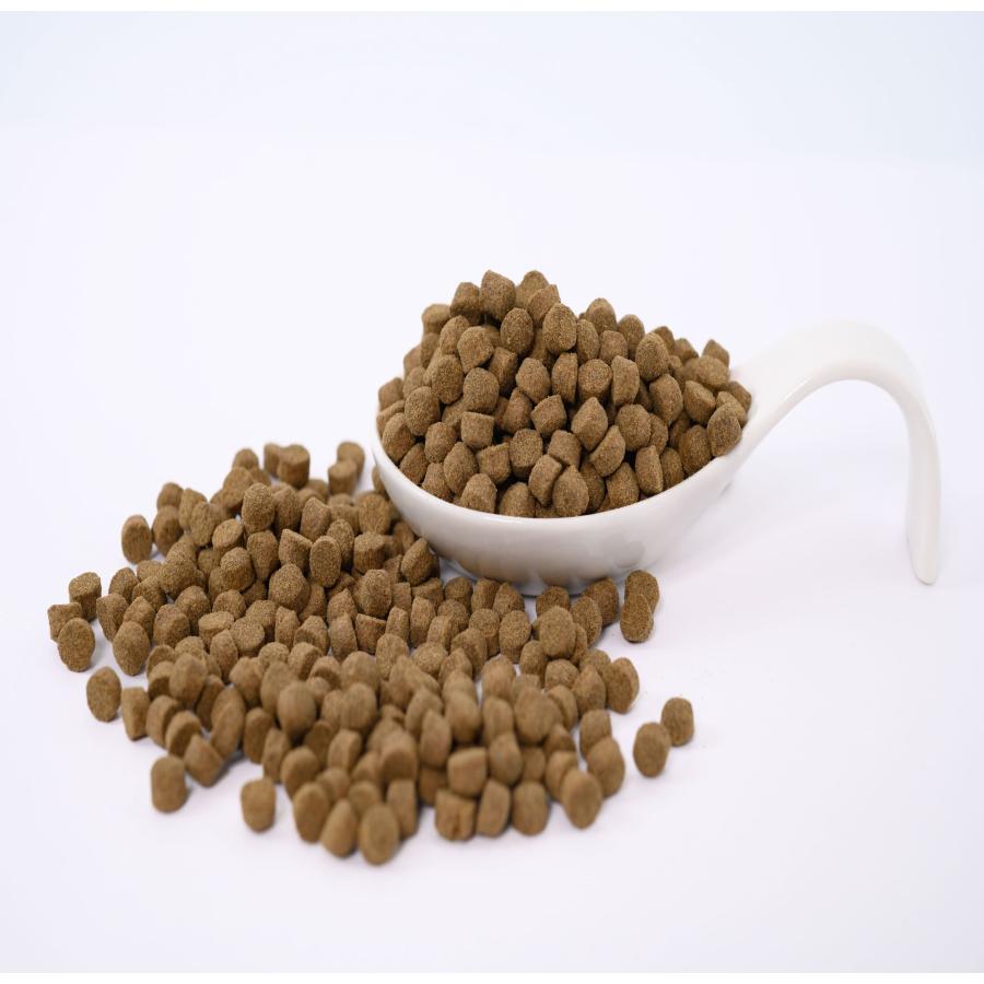 日清丸紅飼料 おとひめEP6(約5.4mm〜約6.4mm) 500g 沈降性(沈下性
