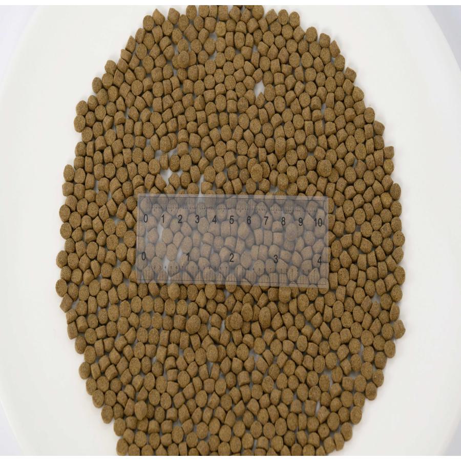 日清丸紅飼料 おとひめEP6(約5.4mm〜約6.4mm) 500g 沈降性(沈下性