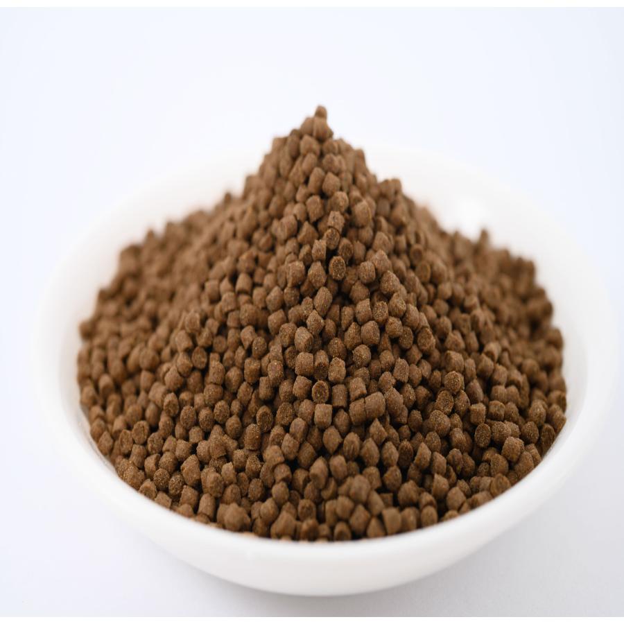 日清丸紅飼料 おとひめEP2(約1.9から約2.0mm) 1kg(500g 日清丸紅飼料 おとひめEP2(約1.9から約2.0mm) 1kg(500g