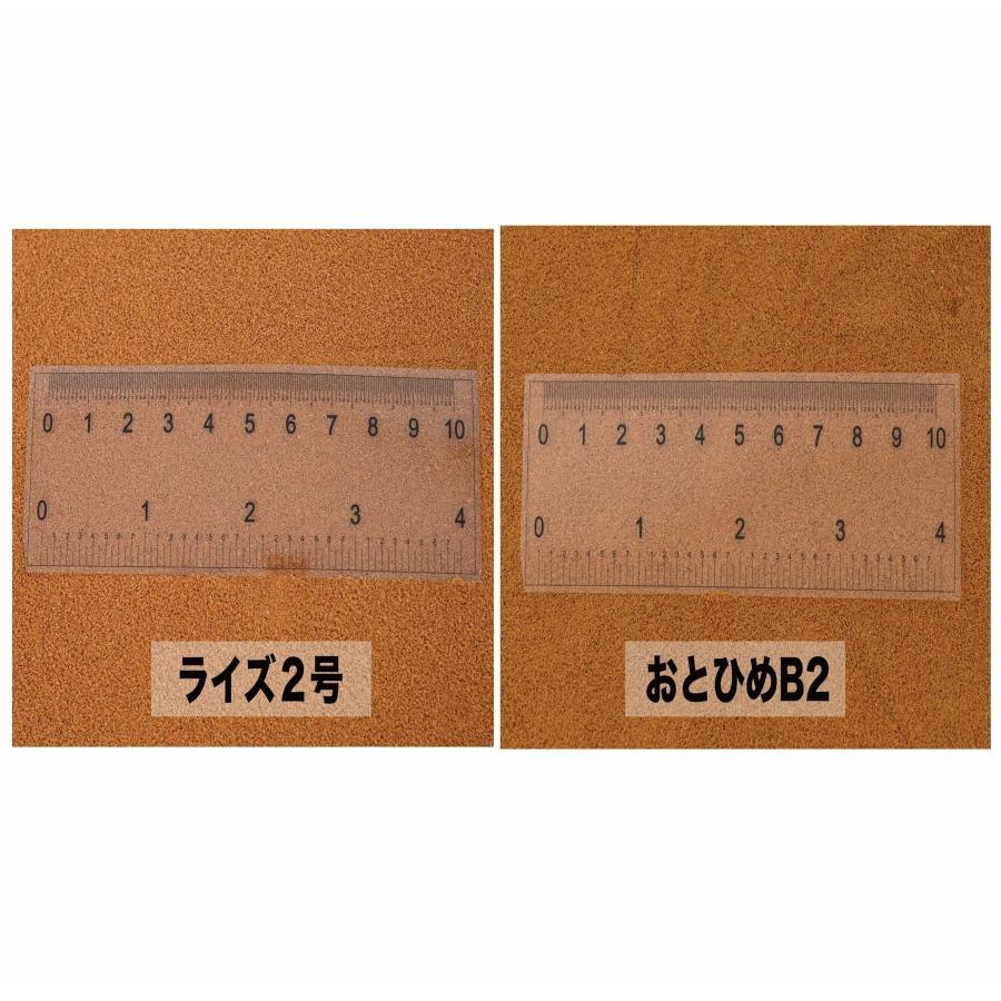 日清丸紅飼料 おとひめEP2(約1.9〜約2.0mm)  3kg(500g×6袋) 沈降性(沈下性) 金魚 アロワナ 肉食魚に｜ikkando-oosaka｜16