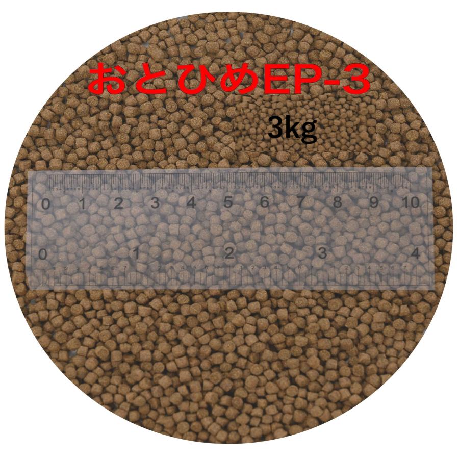 日清丸紅飼料 おとひめEP3 1kg×10P 合計10kg 沈下性 日清丸紅飼料 おとひめEP3(約2.9〜約3.3mm) 3kg(500g×6袋) 沈降性(沈下