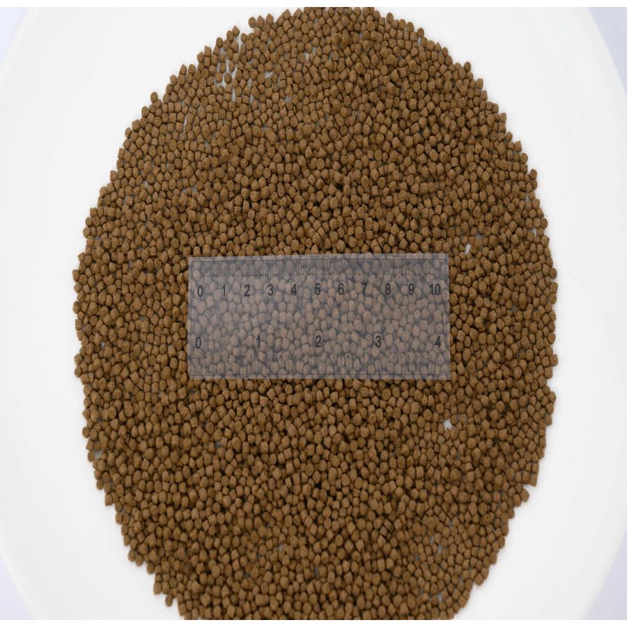 日清丸紅飼料 おとひめEP3(約2.9〜約3.3mm) 3kg(500g×6袋) 沈降性(沈下