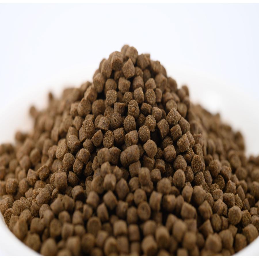 日清丸紅飼料 おとひめEP3(約2.9〜約3.3mm) 3kg(500g×6袋) 沈降性(沈下