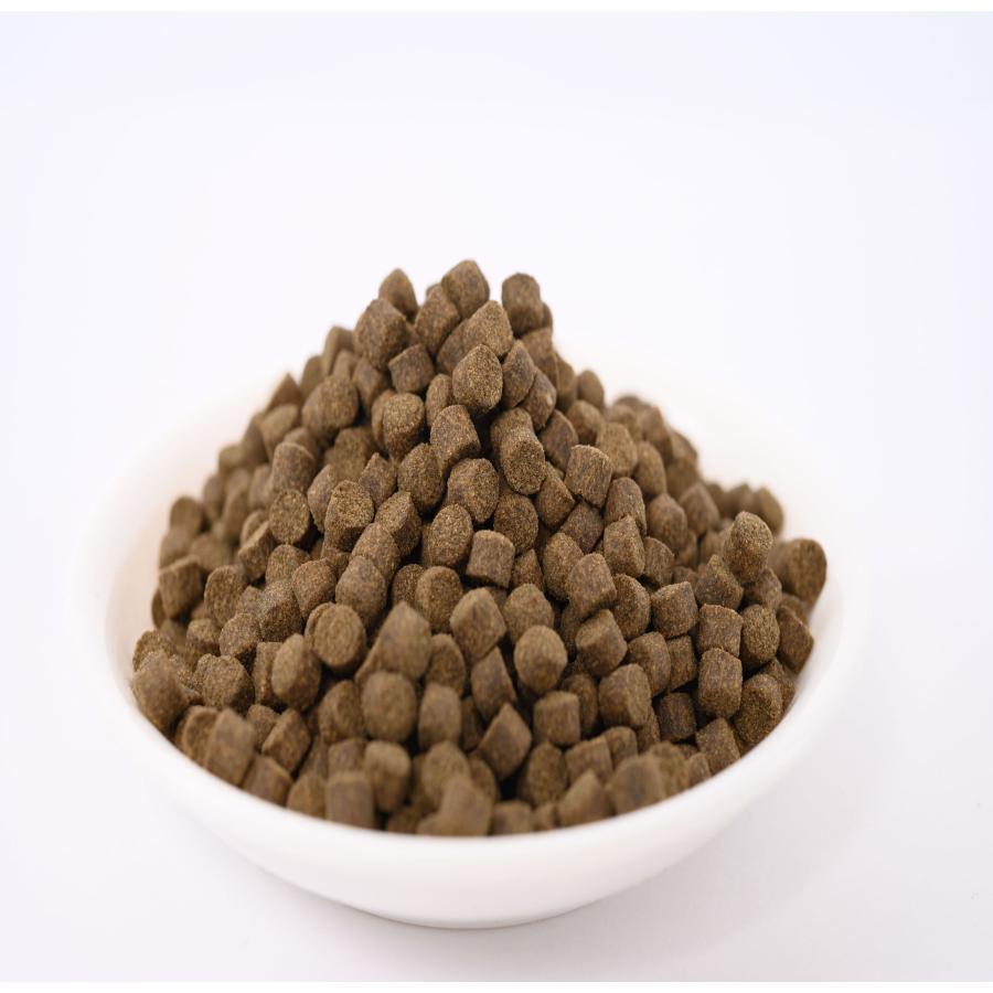 日清丸紅飼料 おとひめEP5(約4.3mm〜約5.1mm) 3kg(500g×6袋) 沈降性