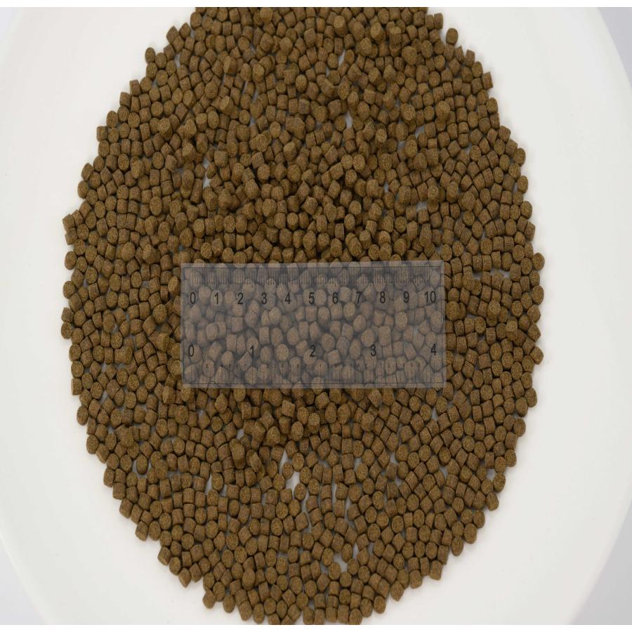日清丸紅飼料 おとひめEP5(約4.3mm〜約5.1mm) 3kg(500g×6袋) 沈降性