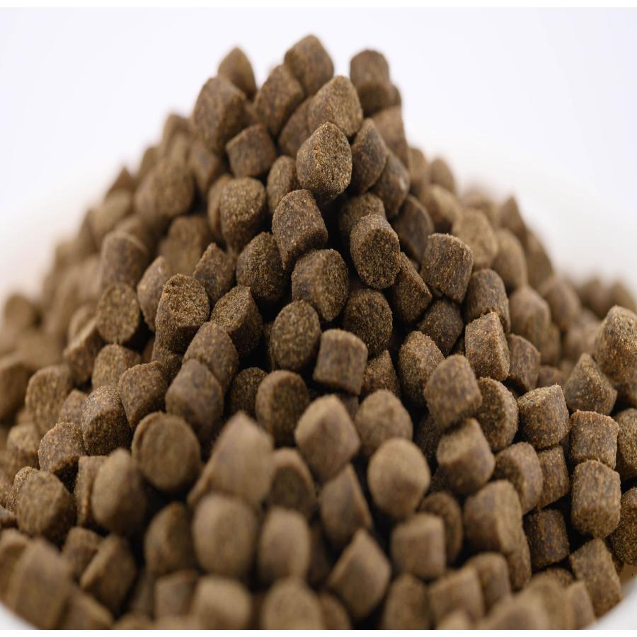 おとひめEP5 沈下性 5kg(1kg×5)　エイ エンドリ ダトニオ キャット おとひめEP5 1kg 沈下性 約5㎜粒 金魚 らんちゅう 熱帯魚 海水魚