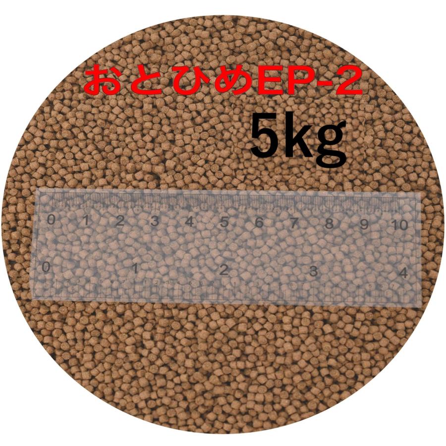 日清丸紅飼料 おとひめEP2 5kg 沈下性 1.9～2.3㎜ ※送料無料※ 日清丸紅飼料 おとひめEP2(約1.9mm〜約2.0mm) 5kg(500g×10袋) 沈降性