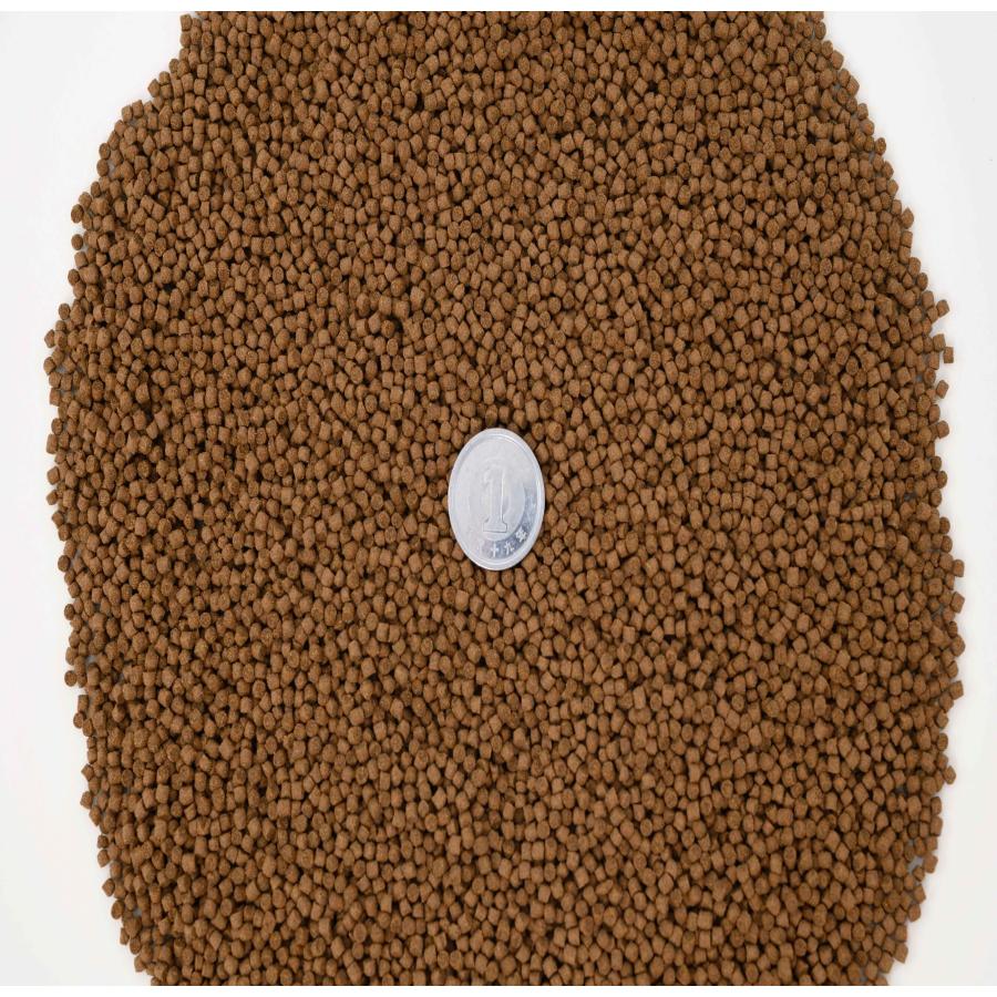 日清丸紅飼料 おとひめEP2(約1.9mm〜約2.0mm) 5kg(500g×10袋) 沈降性