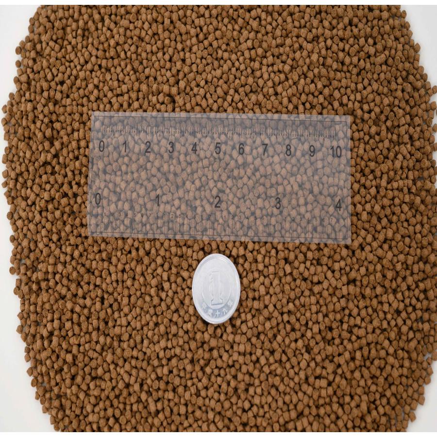 日清丸紅飼料 おとひめEP2(約1.9mm〜約2.0mm) 5kg(500g×10袋) 沈降性