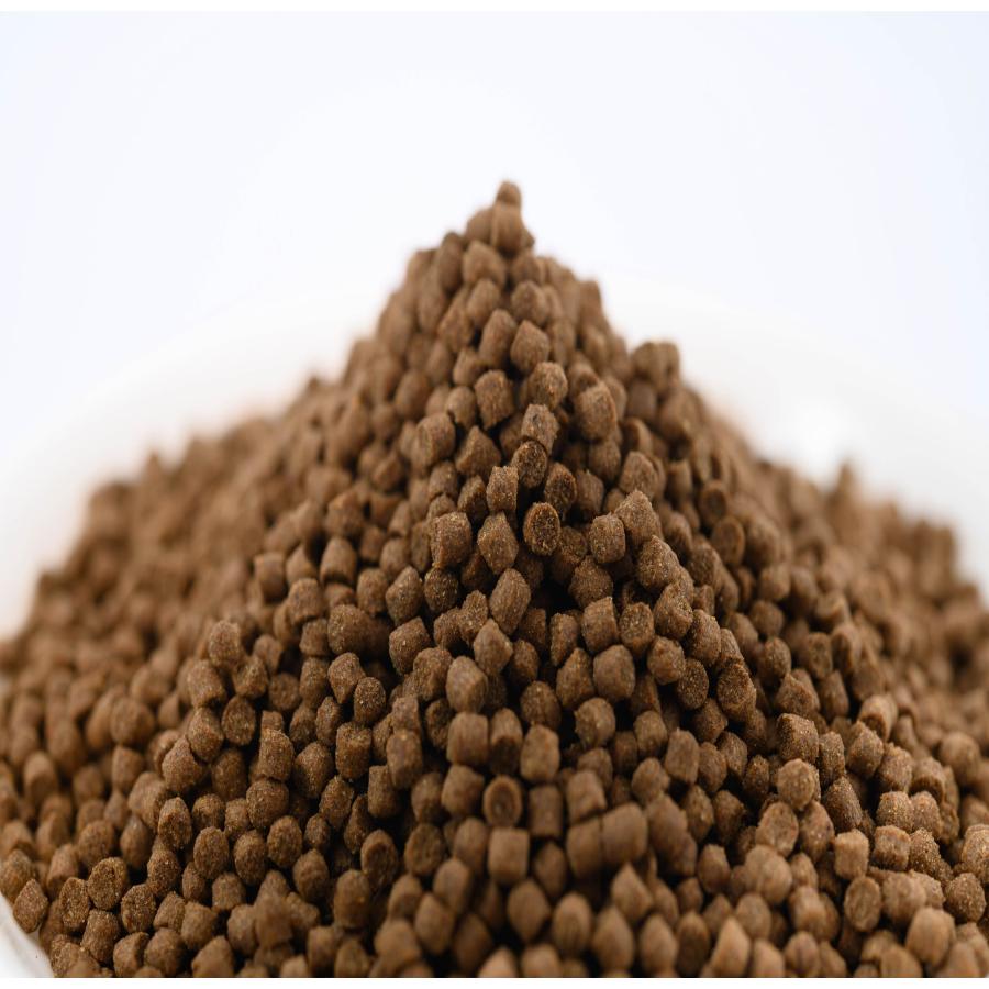 日清丸紅飼料 おとひめEP2(約1.9mm〜約2.0mm) 5kg(500g×10袋) 沈降性