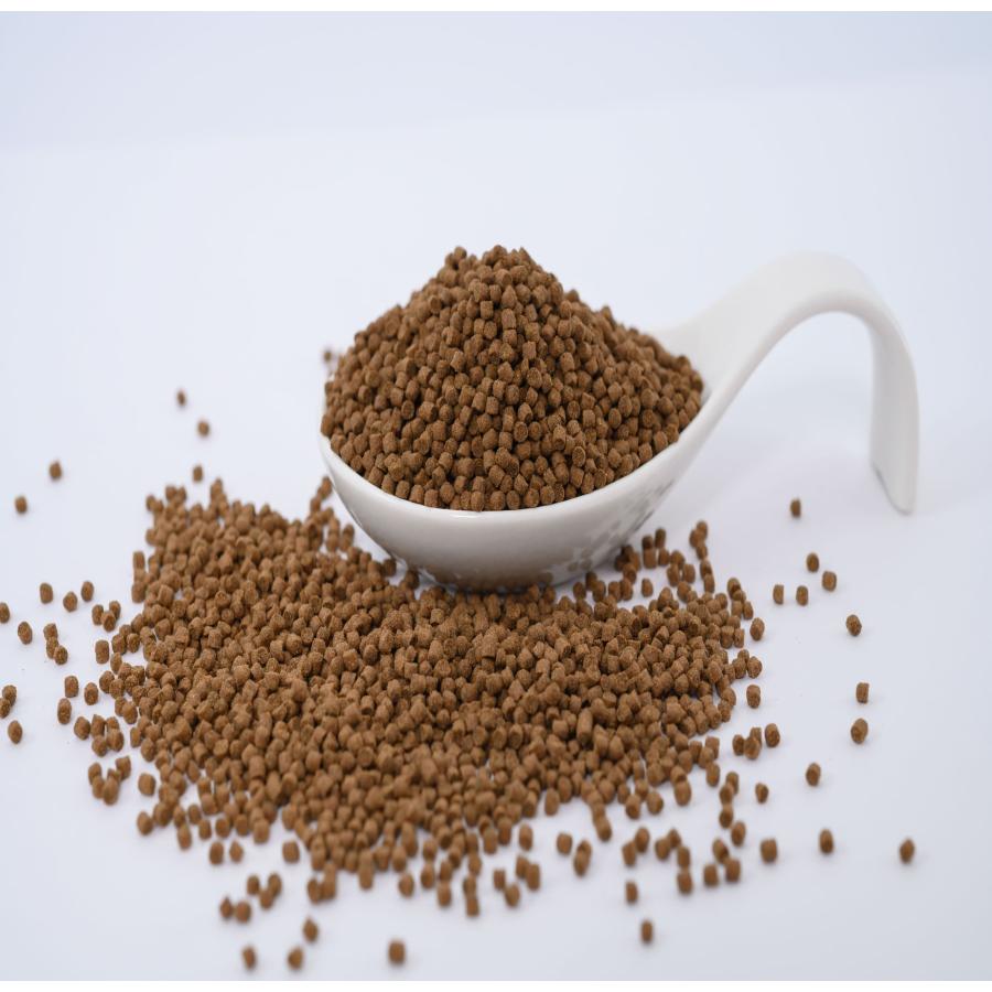 日清丸紅飼料 おとひめEP2(約1.9mm〜約2.0mm) 5kg(500g×10袋) 沈降性