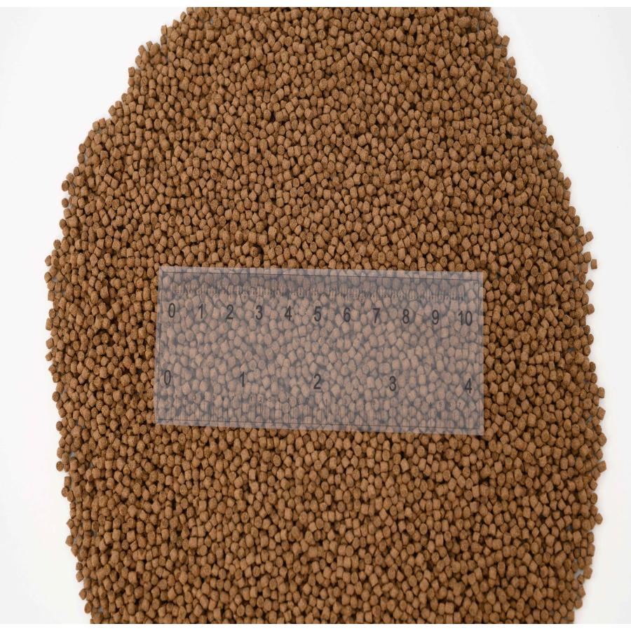 日清丸紅飼料 おとひめEP2(約1.9mm〜約2.0mm) 5kg(500g×10袋) 沈降性