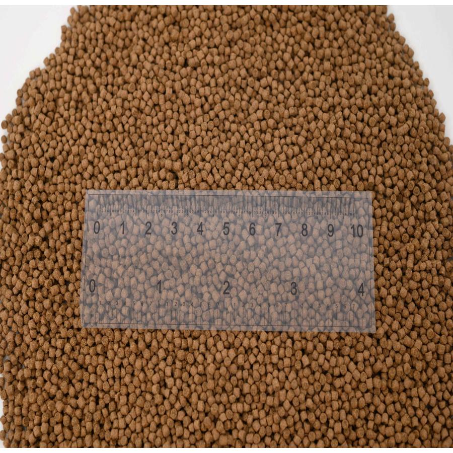 日清丸紅飼料 おとひめEP2(約1.9mm〜約2.0mm) 5kg(500g×10袋) 沈降性