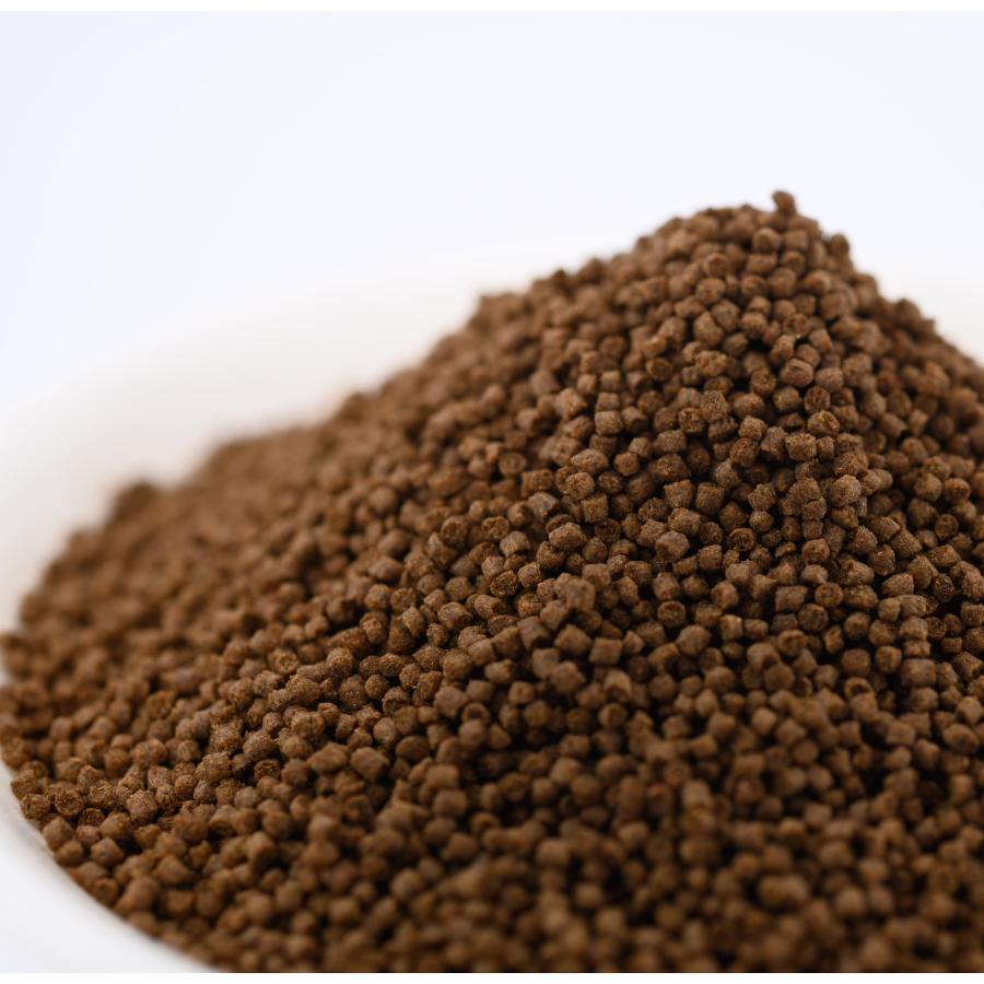 日清丸紅飼料 魚の餌 おとひめEP0(約1.3mm) 7kg(500g×14袋) 沈降 日清丸紅飼料 魚の餌 おとひめEP0(約1.3mm) 7kg(500g×14袋) 沈降