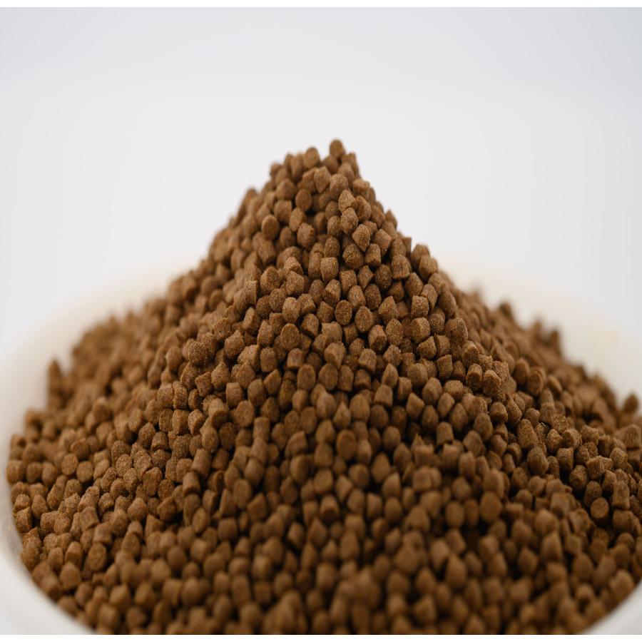 日清丸紅飼料 魚の餌 おとひめEP1(約1.3〜約1.7mm) 7kg(500g×14 日清丸紅飼料 魚の餌 おとひめEP1(約1.3〜約1.7mm) 7kg(500g×14