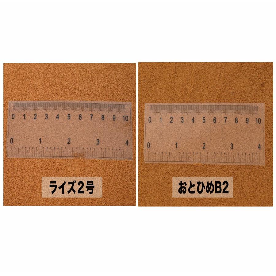 日清丸紅飼料 ライズ2号 900g (450g×2袋) (粒径0.36mm) おとひめの代用 エサ 1kgから規格変更｜ikkando-oosaka｜16