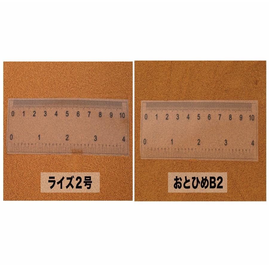 日清丸紅飼料 おとひめEP2 900g(450g×2袋) (1.9〜2.0mm) 沈降性(沈下性