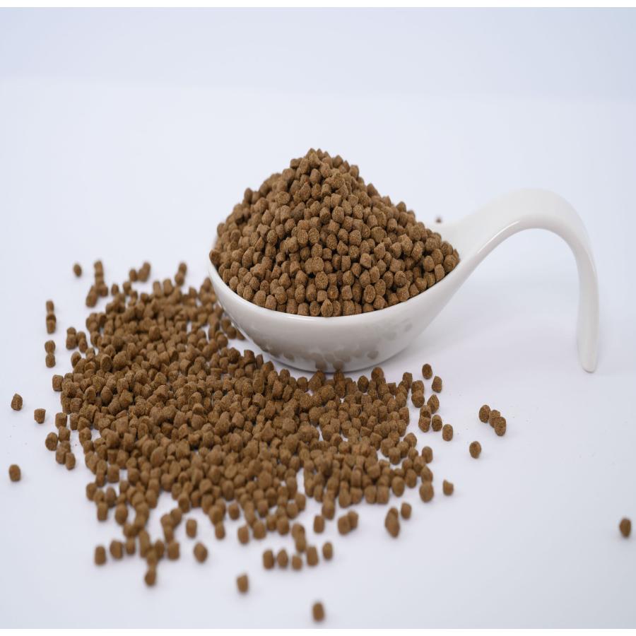 日清丸紅飼料 おとひめEP3 450g (2.9〜3.3mm) 沈降性(沈下性) 小分け品