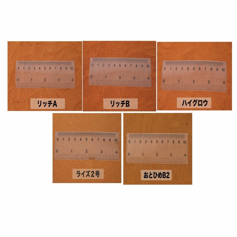 日清丸紅飼料 おとひめEP4 (3.4mm〜4.0mm) 450g 沈降性(沈下性) 小分け