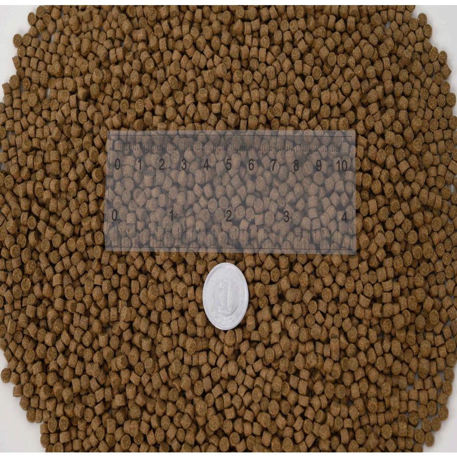 日清丸紅飼料 おとひめEP4 (3.4mm〜4.0mm) 450g 沈降性(沈下性) 小分け