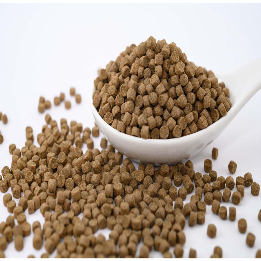 日清丸紅飼料 おとひめEP4 (3.4mm〜4.0mm) 450g 沈降性(沈下性) 小分け