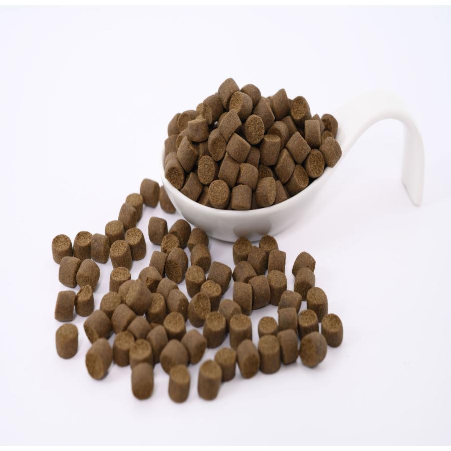 日清丸紅飼料 おとひめEP8 900g (450g×2袋) (6.8mm〜 日清丸紅飼料 おとひめEP8 900g (450g×2袋) (6.8mm〜
