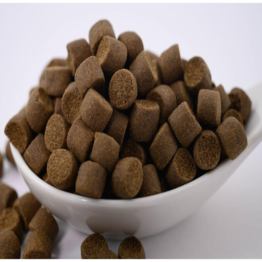 日清丸紅飼料 おとひめEP8 900g (450g×2袋) (6.8mm〜 日清丸紅飼料 おとひめEP8 900g (450g×2袋) (6.8mm〜