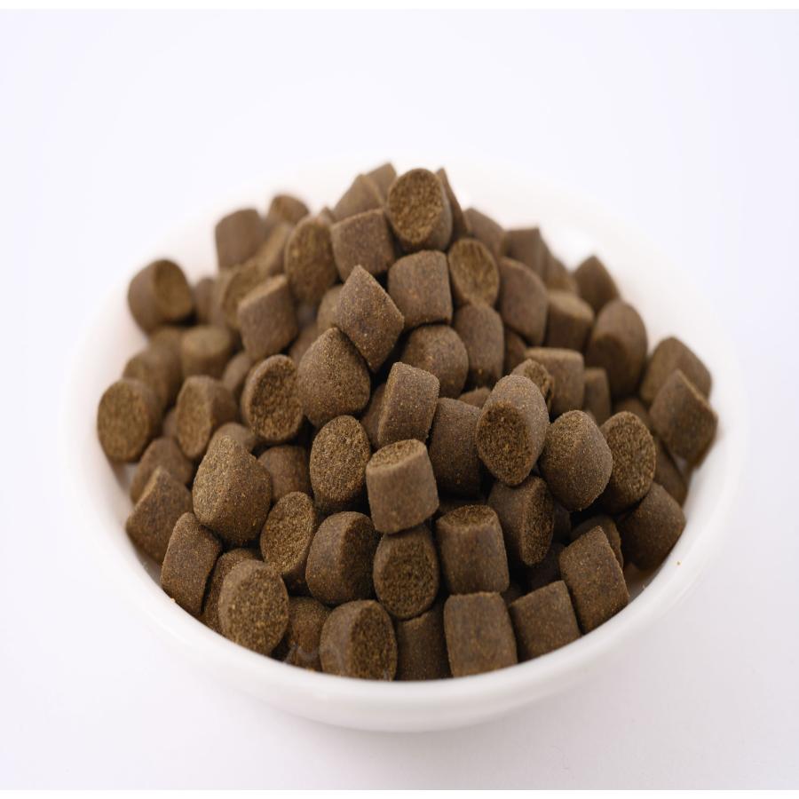 日清丸紅飼料 おとひめEP8 900g (450g×2袋) (6.8mm〜 日清丸紅飼料 おとひめEP8 900g (450g×2袋) (6.8mm〜