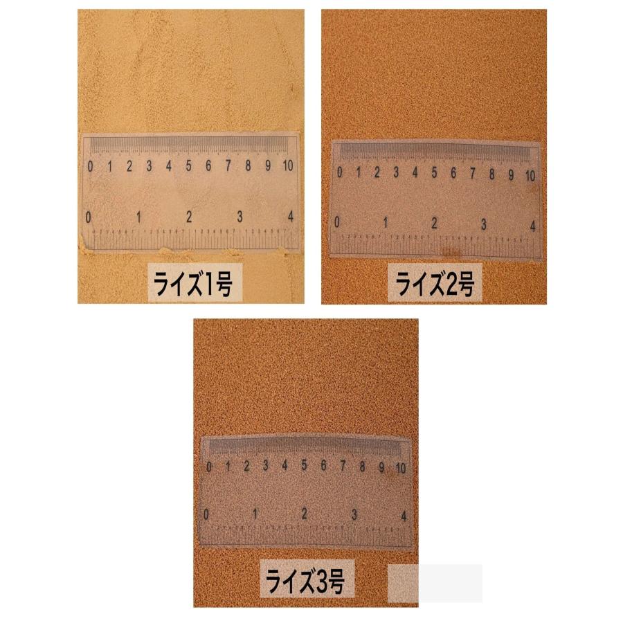 ちゅけ　科学飼料研究所 リッチA B 各2kg メダカ エサ 科学飼料研究所 リッチB 40kg(2kg×5袋）×4箱 【10kg×4箱