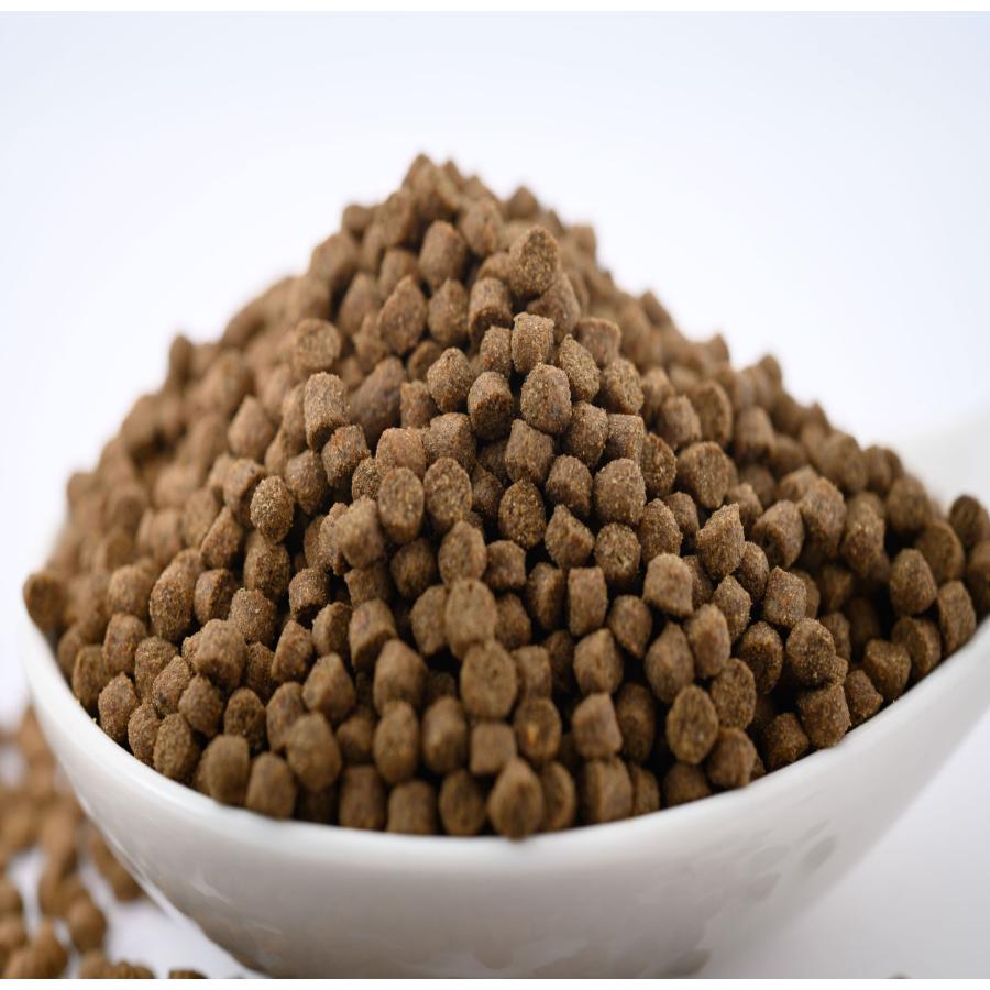 日清丸紅飼料 おとひめEP3(20kg) /4.0〜3.4mm（沈降性） 鯉、肉食魚