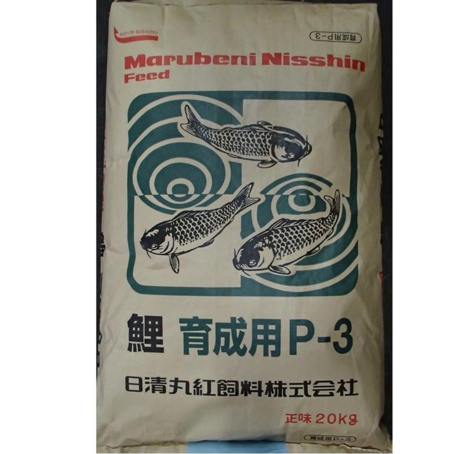 日清丸紅飼料 日清丸紅飼料鯉育成用 P-3 20kg 粒径(mm)2.5 日清丸紅飼料 日清丸紅飼料鯉育成用 P-3 20kg 粒径(mm)2.5