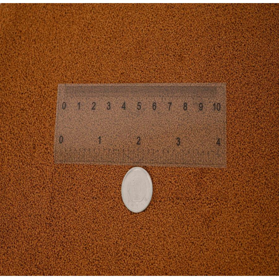 日清丸紅飼料 おとひめＣ１ 10kg(2kg×5袋）0.58〜0.91mm 沈降性 メーカー直送_1